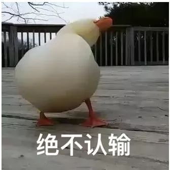1572335451267940.png 11.png
